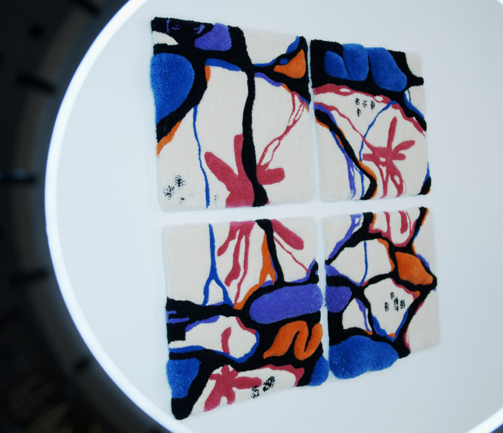 VIER WEGE COLLECTION - Image 6